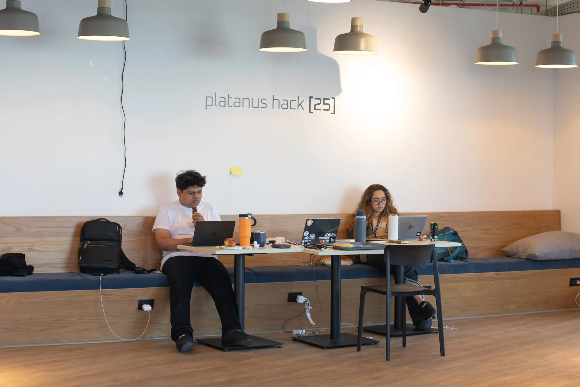 Platanus Hack photo